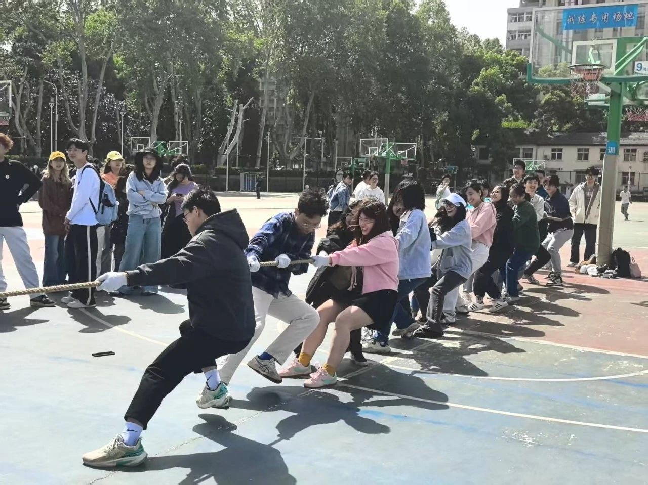 qy88vip千赢国际官网版