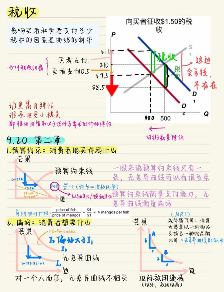19055