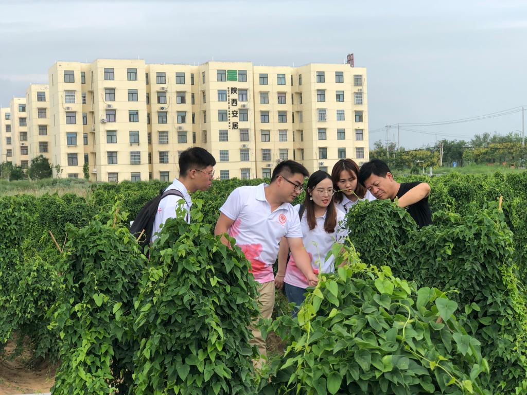 qy88vip千赢国际官网版