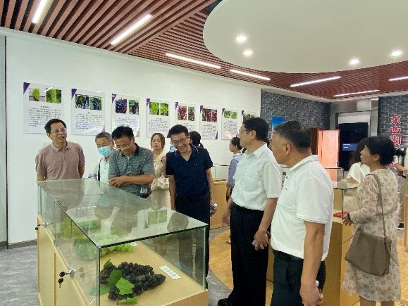 qy88vip千赢国际官网版