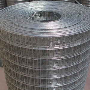 Welded Wire Mesh